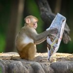 Nedeljni horoskop do 26. jula: Ova tri znaka čeka čista sreća 9 ilustracija za tekst